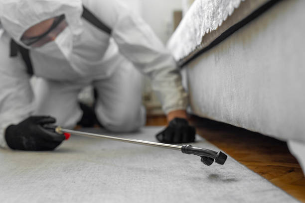 Professional Cockroach Control technician working in Menominee County County, WI